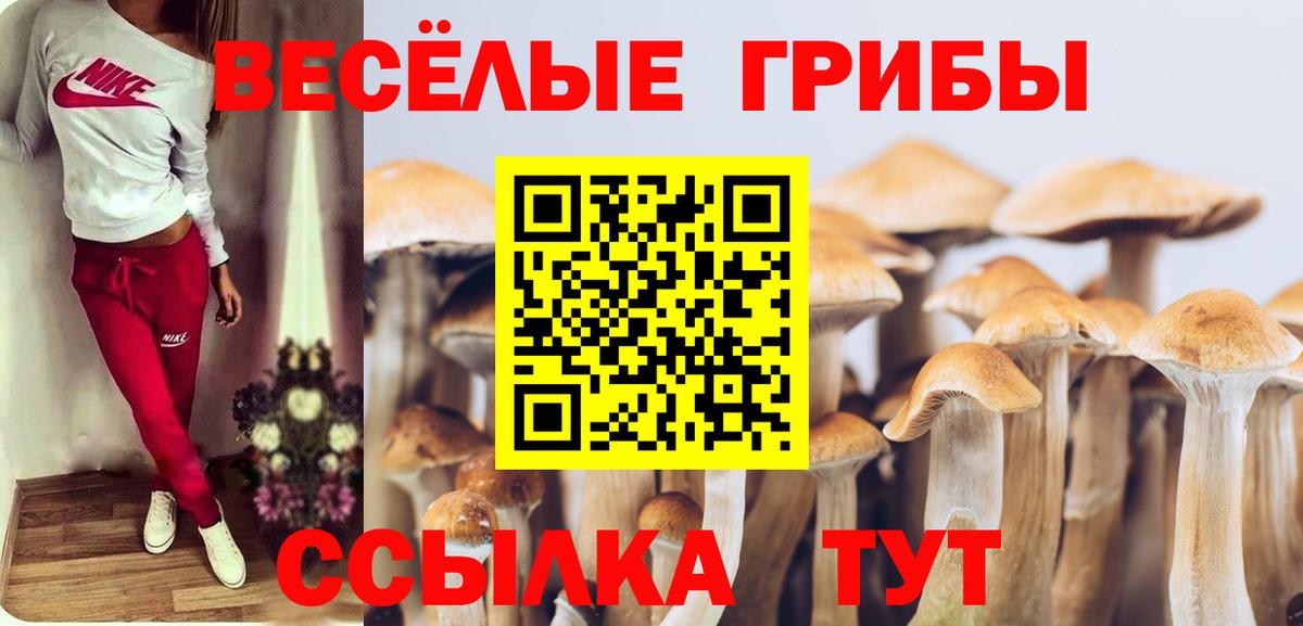 Медногорск  Псилоцибиновые грибы Psilocybine cubensis  Вход с VPN 