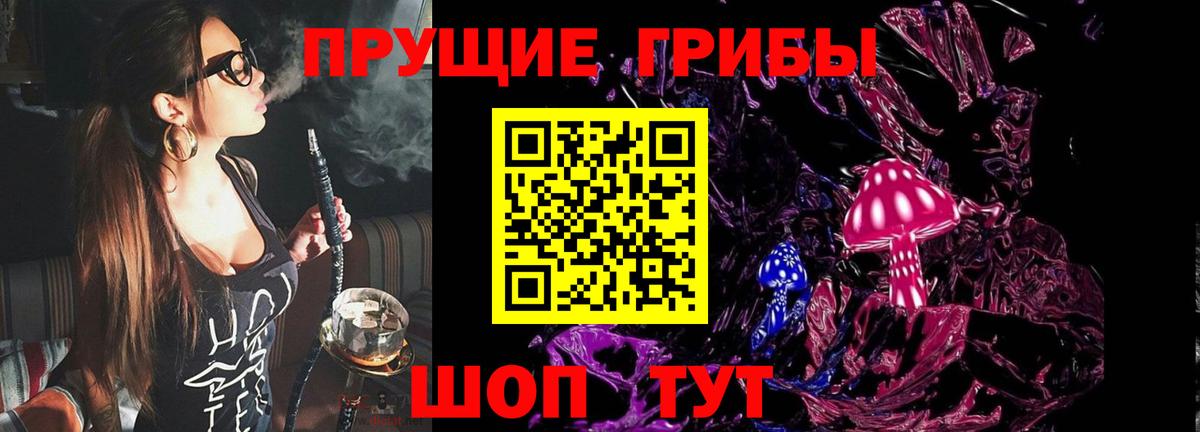 Галлюциногенные грибы Psilocybe Медногорск
